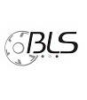 BLS Group