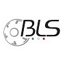 BLS Group